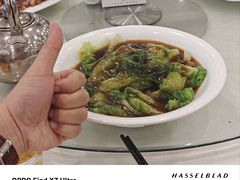 -姚林轩