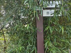-雨花胜境