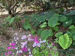 -荔枝公园-小平画像广场