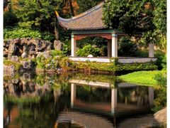 -叶家花园