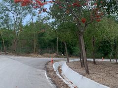 -清迈夜间动物园