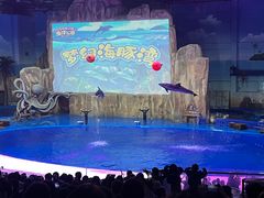 -华夏文旅海洋公园