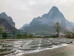 -明仕田园