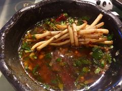 折耳根-王家渡火锅(三苏祠店)