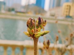 -马栏河运动公园