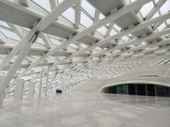 -凤凰中心