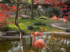 -上海动物园(地铁站)