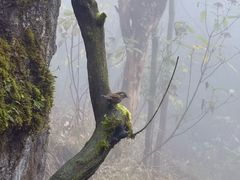 -山王坪喀斯特国家生态公园
