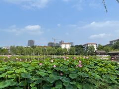 -西海子公园