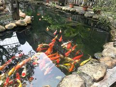 -味可道·黄圃人家园林酒家(兆丰店)