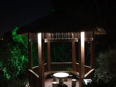 -飞凤山奥体公园