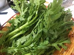 -鲜入围煮花胶鸡海鲜火锅