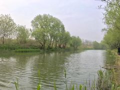-新江湾城公园