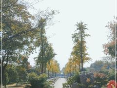 -明故宫遗址公园