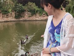 -芭东小镇温泉