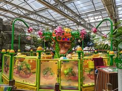 -南宫五洲植物乐园