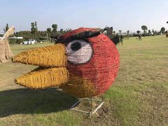 -明珠湖天鹅苑·农家菜馆