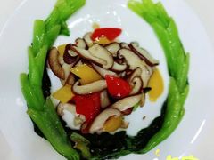 -爱月宝月嫂·育儿嫂(哈尔滨总店)