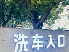 -天猫养车贴膜轻改·蓝电(优匹康桥东路店)