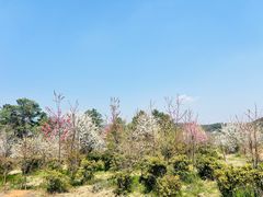 -名花谷生态庄园