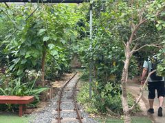 -呀路古热带植物园