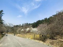 -昆嵛山石门里景区