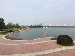 -暨阳湖生态园