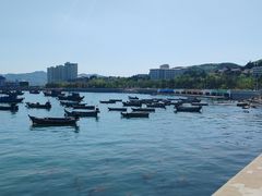 -海源公园