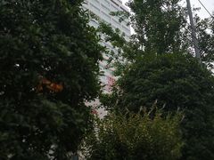-四川省人民医院(本部)
