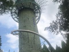 -黄海国家森林公园