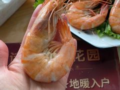 -渔家小院观海海肠捞饭地方菜(环海中路店)