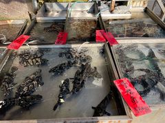 -湛江渔港·大排档(乐园路总店)