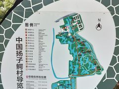 -中国扬子鳄村