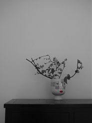 -无界瑜伽普拉提