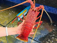 -明记海鲜大排档(巽寮湾店)
