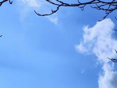 -护国法轮寺