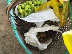 -马陆小张葡萄园农家乐