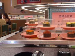 -争鲜回转寿司(太阳宫凯德PLUS店)