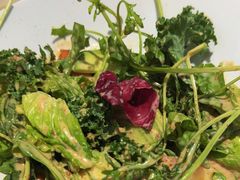 -子霖南山鲜虾面(南山总店)