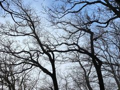 -终南山南五台景区