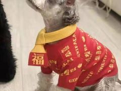 -宠福鑫康馨动物医院·骨科·眼科