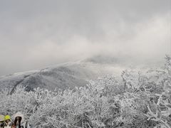 -湖州龙王山景区