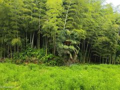 -兰亭风景区