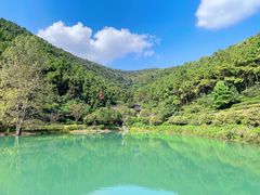 -九龙潭景区