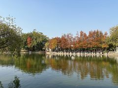 -东莞市可园博物馆