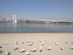 -台场海滨公园船码头