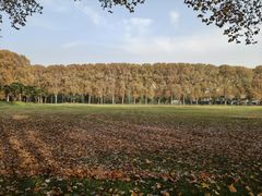 -河南省黄河迎宾馆