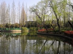 -黄兴公园