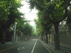 -上海交通大学医学院附属瑞金医院(总院)