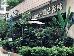 -咖法森林·咖啡  酒吧(天河店)